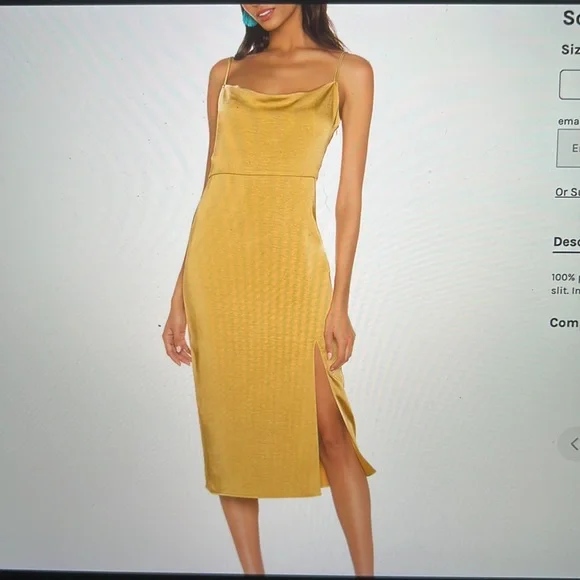 Heartloom dress - Picture 4 of 5